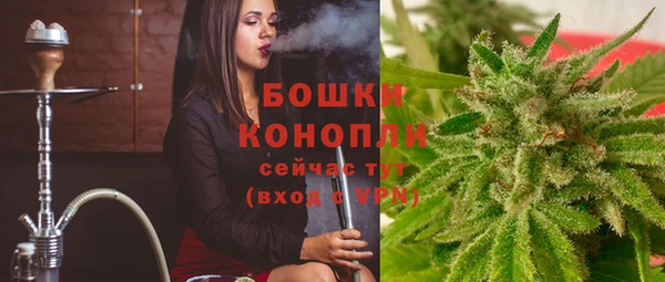 ГАЛЛЮЦИНОГЕННЫЕ ГРИБЫ Сясьстрой